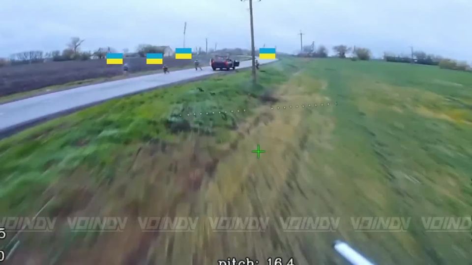 ��������� ��������� ������ ������ ��� �� ������ ����������� ���� 14 ����������� ������� �������� ����������� ����� "������", ����������� �����������