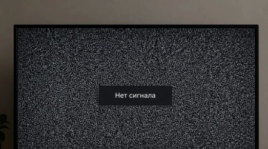 � ��������� 22 ������ ������������ �����������