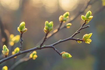 ������ ����. � �� �����, ��� �������