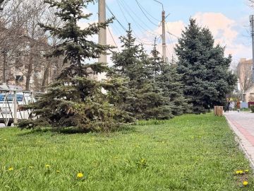 ������ ����, ����������!