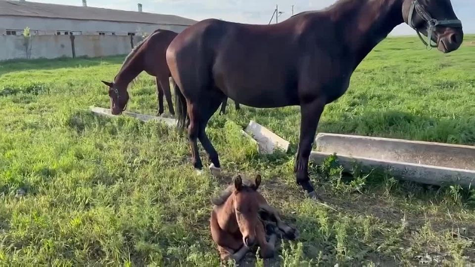 ���� ������. � �������� � ������, ������������ ����� �����, ������� ��������