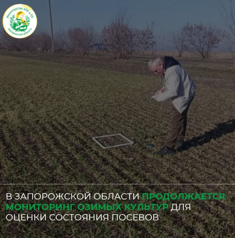 � ����������� ������� ������������ ���������� ������ ������� ��� ������ ��������� �������