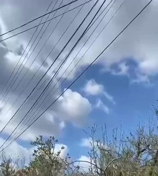 ������ ������ �� ���������� ������� � �.� �������, ������������ �������