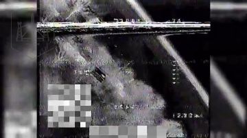 ����������� �����������. ��������� ������� ����� ������������� "�����" 1455 ����� ���������� ������� � ����� ����������