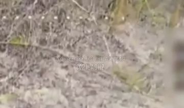 �������� FPV-����� �� �� ���������� ����� ���� ���������� � ���� ���