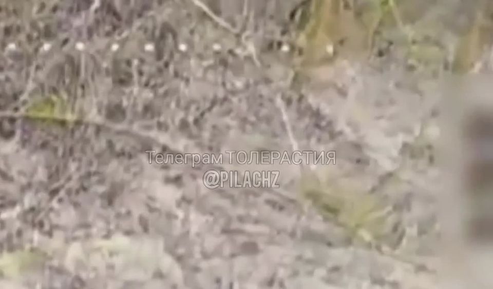�������� FPV-����� �� �� ���������� ����� ���� ���������� � ���� ���