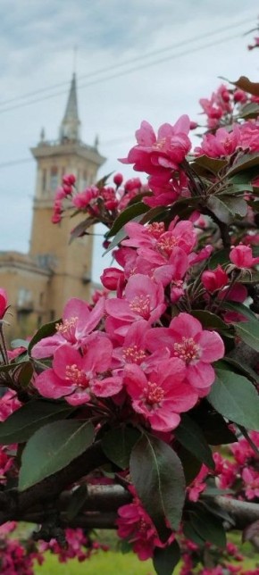 ��������� ������. � ��� ������������