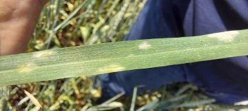 ��� ����� ����� � �������� ������ ����� ������