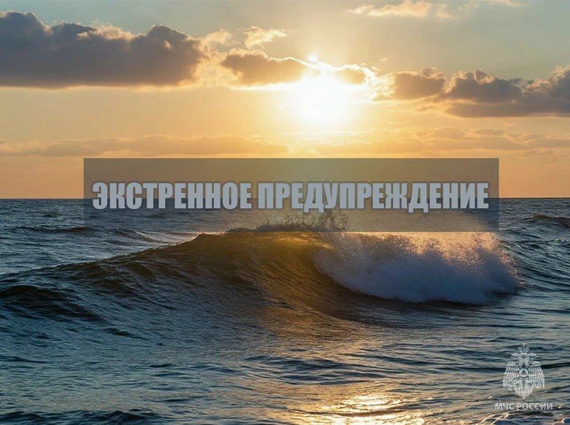 ���������� ��������������. ���� 24 ������ �� ��������� ���� ��������� ����� �������� 12-17 �/�