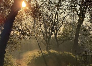 ������ ����. �������������� �� ����� ������������� � MAX