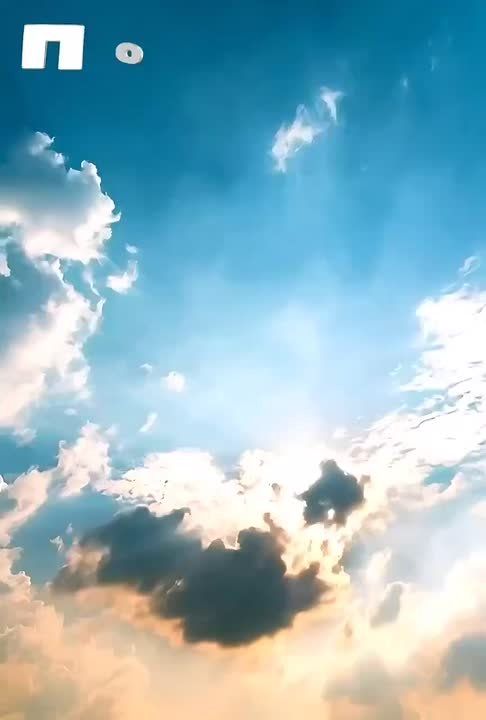 ������ �������� (���������� �����), 23.04.2026