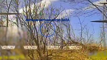 ������ ���������� ���� 36 ����� ����������� ����� "������" �� ����������� ������� ����� ��� �� ����������� �����������