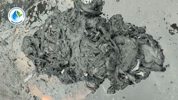 ��������� ������ ����������� �������!