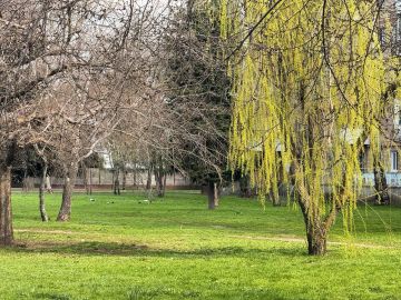 ������ ����, �������� ����������!