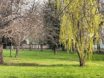 ������ ����, �������� ����������!