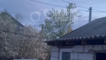 ������� ������������ ������������ � ����� ����� �� ���� �������