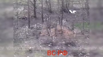 ���������� �������� ������� ������ ������ 218 ������������ ��������� ����� 127 ������� 5 ����� ����������� ����� "������"