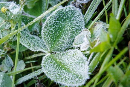 ������� ��������� �������������� � ����������� ������� � ����� ������