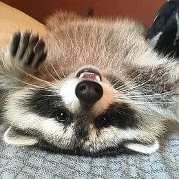 ������ ����, ������� ����������! ������ ����, ���������!