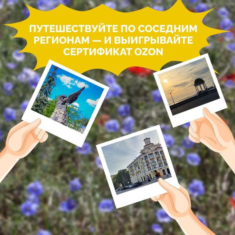 ��������� ��� �� ������ ���������, �� � �������: ����� 10 ������������ OZON ���������-����������������!