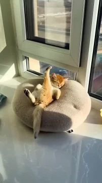 ���������� � ����������. ������� ����� ������ �� �������