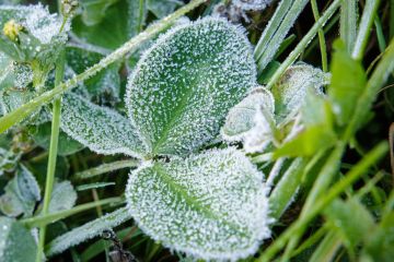 ������� ��������� �������������� � ����������� ������� � ����� ������