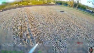 #��_�����������. ��������� ���� ���� "����" 14 ����������� ������� �������� ����������� ����� "������" ����� ���������� � ���� �����-��������� ���������� ����������� ����� ���� � ������� ��� �� ����������� �����������