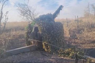 ���������� ��������������� ���������� ���������� ������� �������� �� ���������