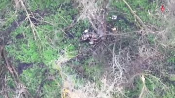 � ���� ���� ��������� ������ 69-� �������������� ������� ����������� ����� ������ ���������� �������� ��� ���������� ������� �������� � ����������� �������