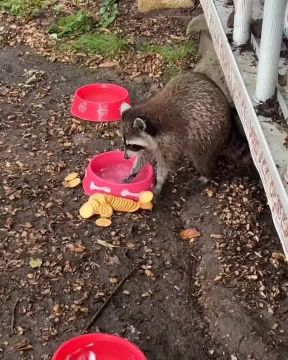 ������ ����, ������! �������� ��� ��� � ��������� ����������!