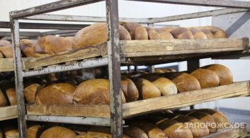 � ����������� ������� ������ ����� �� ������ �������� ������� ������ � 2026�