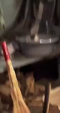 ������ ���� ��������, ����������� �������!