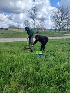 ���� ������ � ���� ��������