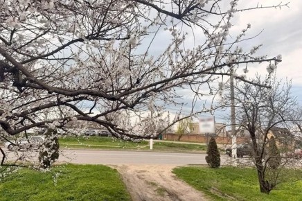 ����� ������ ����� � ����������� ������� 28 ������ 2026 ����