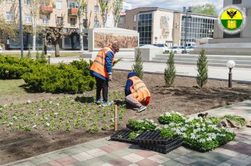 ���������� ��������������� ������������ ����������� � ����������