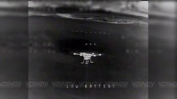 ������ ������� �������� ���������� ����������� 38 ������� 35 ����� � ����������� �������