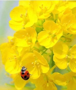 ������! �� �����!. ������� � ���������� ������ ���� ���! �������� �����������)) �������������� ��: Max