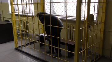 10 ��� �������� ������ ������� ������ ���������� �� �������� �������� ���������