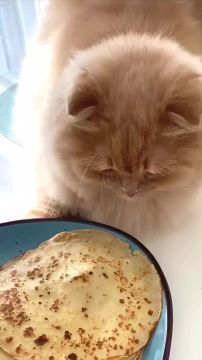 ����� ����. ���������� � ������ �� ������