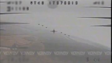 ��������� ���� 14 ����������� ������� �������� ����������� ����� "������" ������ ���� ����� � ������� ���� �� ������� ���, ��������� ������������ ���������� �� ����������� �����������