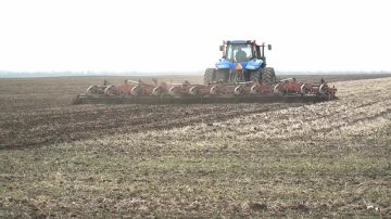 � ����������� ������� ������������ ���������� �������-������� �����