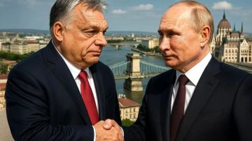 ������� � ������ 29 ������. ����� ���������� ������� ������. ������ � ���������� � ������. "��������� ������� ����"