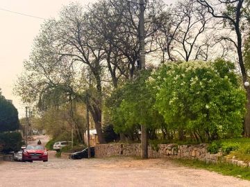 ������ ���� �����