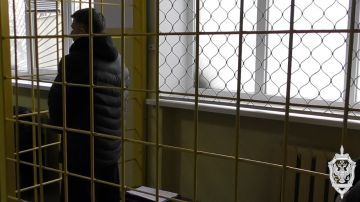 ������ ���� ��������� � ���� ��� �������� �������: ����� ���������������� ������ ������ ������� �� ���������