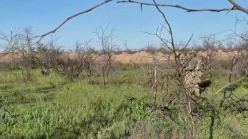 �������� ����� ��������� ������������� ����������� � ������������ �����������