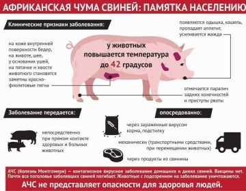 ���������! ����������� ���� ������!