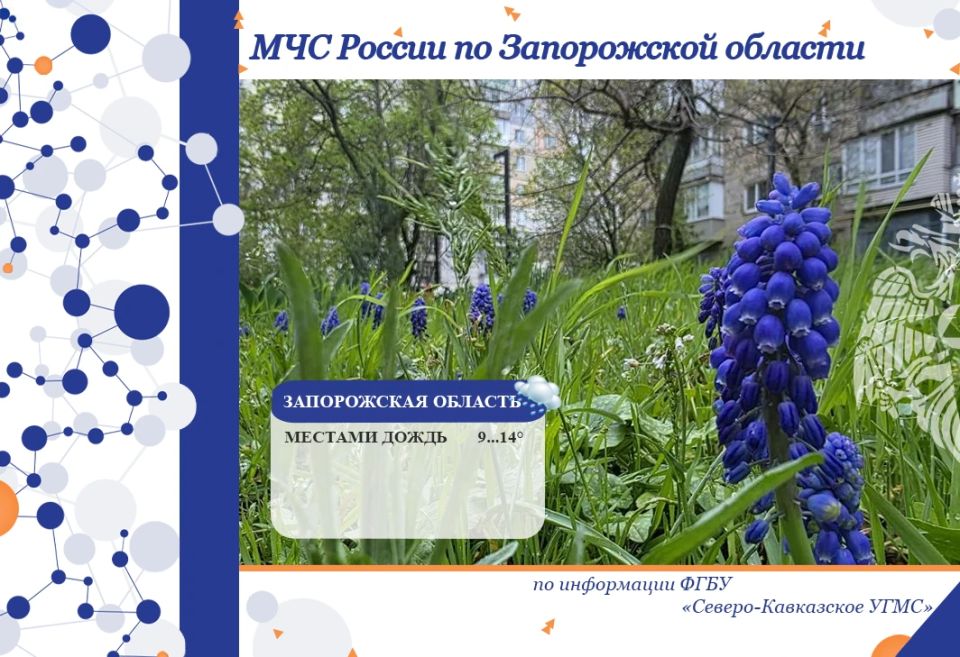 � 30 ������ �� 1 ��� �� ���������� ������� ���������: