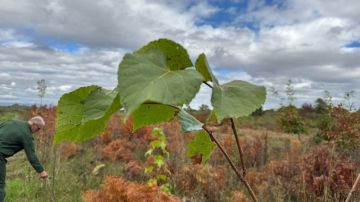 ������� �� �������� ������ ��������� � ������������ ������ �� 85%