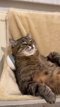 ���� ��������. ������� ����� � ���������� ����