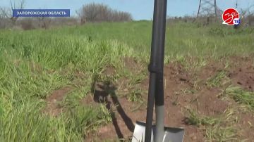 ������ ���� ������� ���������� ��������� ����������� ���������� ������